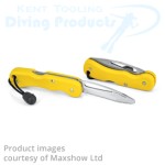 Foldable Knife in Sheath